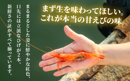 【簡易包装】ちょっと贅沢なご褒美を～ むき甘えび 3種 (そのまんま・醤油漬け・生姜漬け) 【冷凍】 120g × 3袋 【甘海老 あまえび アマエビ えび 海老 剥きエビ 剥き身 お刺身 生食 海鮮