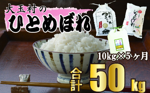 
【 令和5年産】【 5カ月定期 】 福島県大玉村産 ひとめぼれ 50kg （ 毎月 10kg × 5回 お届け ） 福島県 大玉村 ヒトメボレ 定期便 米
