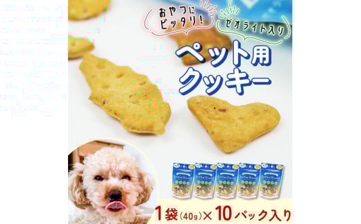 ビスケット 40g×10p 国産 ペットフード おやつ 小分け ペット 犬 いぬ イヌ ドッグ 間食 無添加 米粉 はちみつ ハチミツ 蜂蜜 マグロ まぐろ 鮪 ご褒美 動物 オヤツ 犬用 静岡県 沼津市