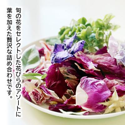 ふるさと納税 酒田市 ゼロフラワー「フラワーペタル」フリーズドライフラワーの花びら。季節ごとの花をアソートでお届けします。 |  | 01