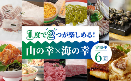 S999-T09B_【定期便6回】1度で2つが楽しめる！山の幸 × 海の幸