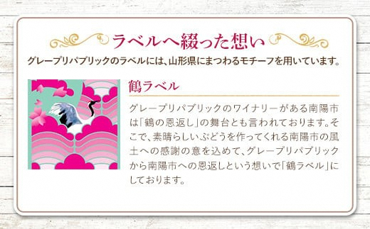 NEW NANYO弾ける泡セット 750ml × 2本 『(株)グレープリパブリッ