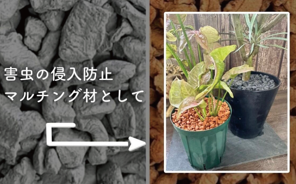 三河焼植木鉢ハーモニーブラウン【テラチップいぶし】プランター お手軽植物栽培セット H188-003