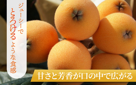 【先行予約/数量限定】 びわ 兵庫県産 1kg 小分け 500g 2パック