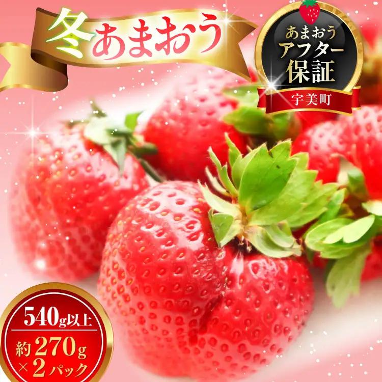 いちご あまおう 冬 540g以上 いちご