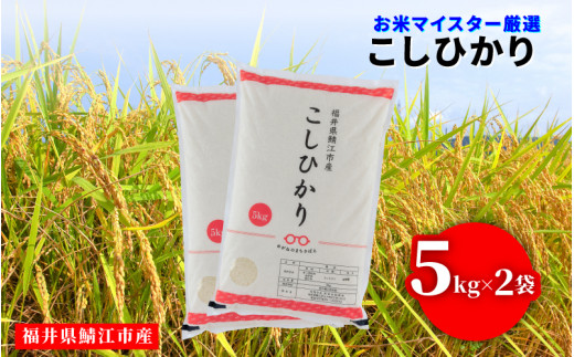 【年内特別価格！】令和6年産 コシヒカリ 10kg（5kg × 2袋）×1回 [B-02030b] / 定期便 お取り寄せ お米 精米 白米 小分け 便利 弁当 ごはん ご飯 コメ おにぎり ブランド 米 初回 送料無料 常温 配送 新生活 応援