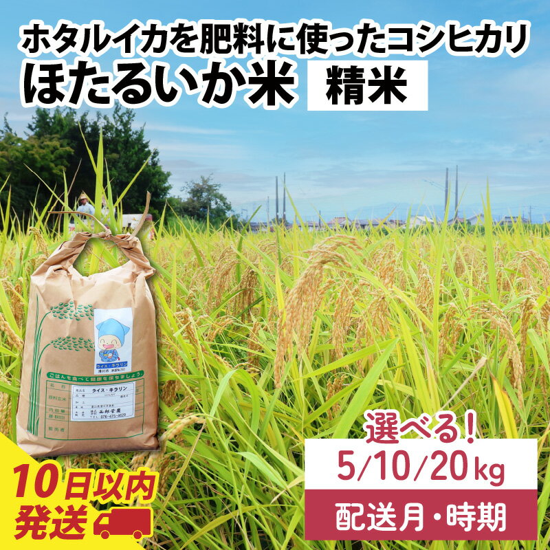 【ふるさと納税】【訳あり】ほたるいか米（精米）選べる容量（5kg／10kg／20kg）選べる配送時期（1月～12月※各月上旬／中旬／下旬）【通年発送】 9月より新米！ / 農家直送 訳あり お米 おこめ こしひかり コシヒカリ ホタルイカ 富山県 滑川市 オリジナル米 国産 送料無料