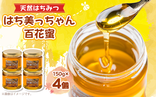 天然はちみつ「はち美っちゃん」　百花蜜　150g×4個【1590820】