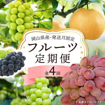 【ふるさと納税】【発送月固定定期便】岡山県産 フルーツ定期便全4回_ フルーツ 定期便 旬 果物 食べ比べ 岡山県 津山市 デザート 葡萄 ぶどう 梨 愛宕梨 シャインマスカット 送料無料 贈答 ギフト 【配送不可地域：離島・北海道・沖縄県】【4075037】