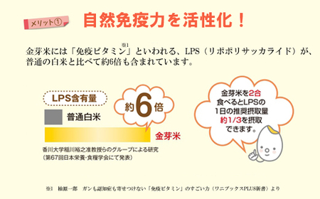 BG無洗米・金芽米きぬむすめ 5kg×6ヵ月 定期便 【毎月】 ［令和5年産］計量カップ付き