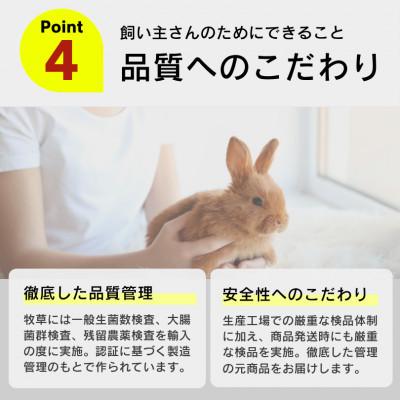 ふるさと納税 久留米市 香り豊かなチモシー やわらか仕上げ ロングタイプ 1kg×8袋セット(久留米市) |  | 03