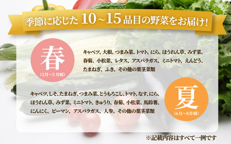 旬のおまかせ野菜BOX 10品～15品 単発便