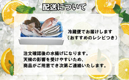 鮮魚ボックス おためしBOX ２kg 鮮魚セット 鮮魚 魚介 魚 刺身 刺し身 千葉県 銚子市 ふるさと納税 丸忠水産