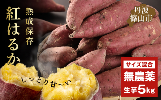 さつま芋　紅はるか　5kg　　訳あり 規格外 サイズ混合　さつまいも サツマイモ さつま芋 甘い ホクホク 焼き芋 焼芋 焼いも おいしい 美味しい ねっとり 天ぷら ポテト お野菜セット 食物繊維 美容 スイーツ 非常食 箱買い 大量 詰め合わせ 国産