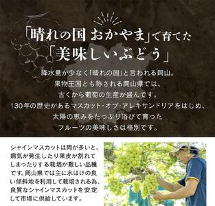 【先行予約　2025年9月上旬発送〜】岡山県産シャインマスカット 1.5kg（2〜3房）［021-a020］