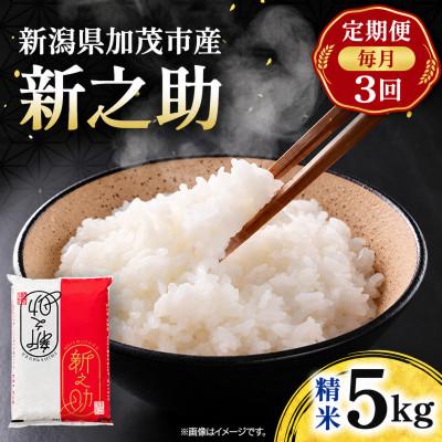 ふるさと納税 加茂市 【毎月定期便】新之助　精米5kg　お米全3回