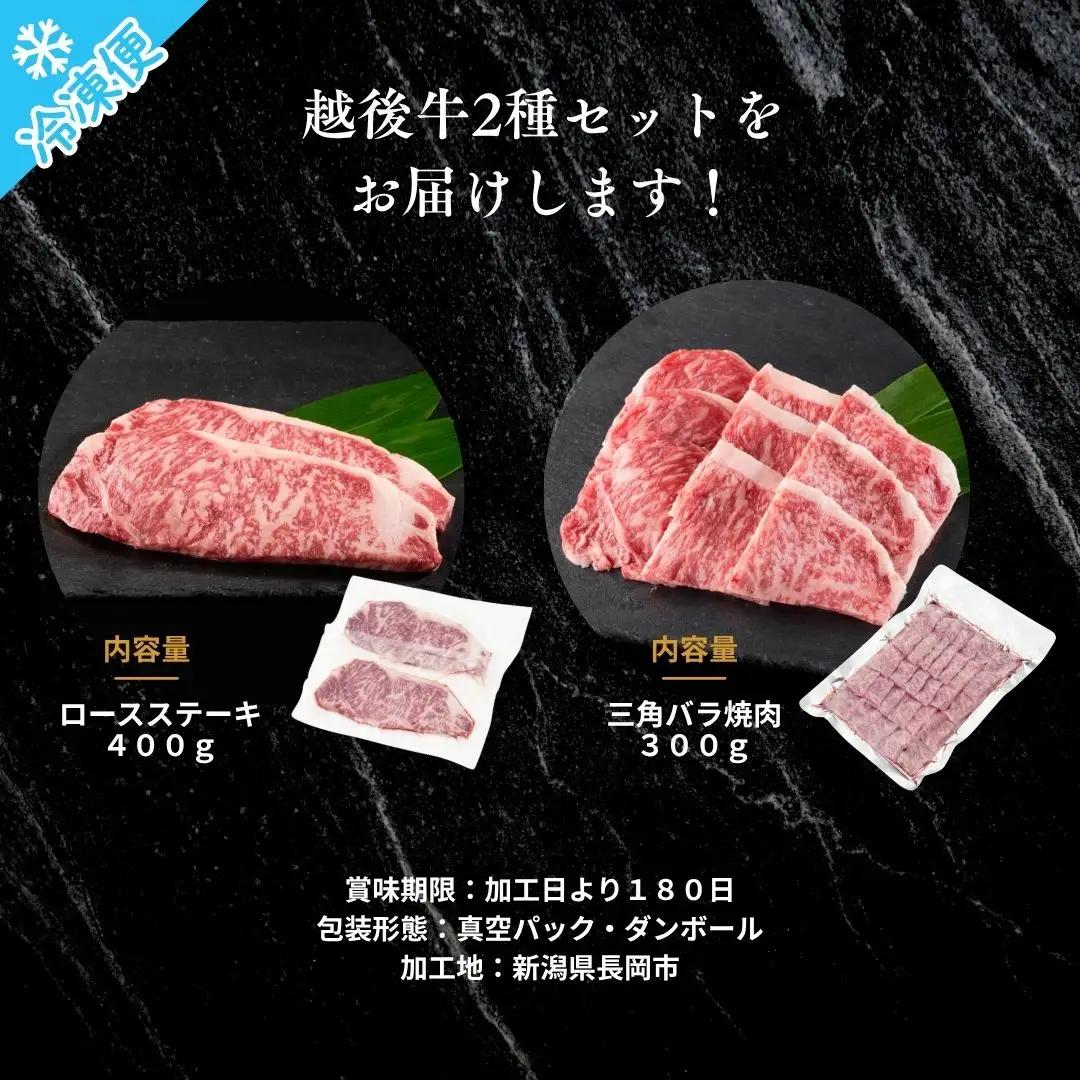 新潟 越後牛 2種  計700g 三国 | 冷凍 バラ肉 ロースステーキ 新潟県 小千谷市