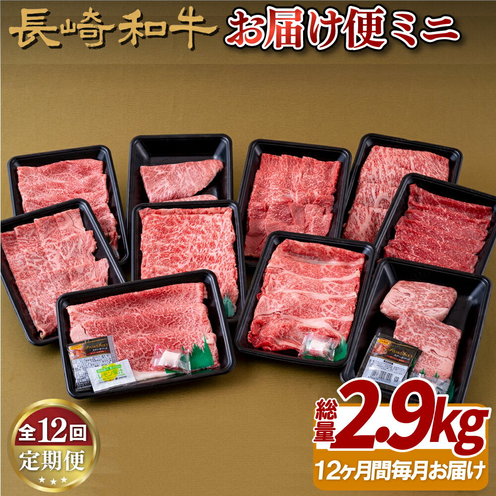 【ふるさと納税】【全12回定期便】長崎和牛 お届け便 ミニ (12回)