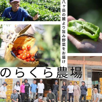 ふるさと納税 佐久穂町 【単発】信州北八ヶ岳からお届け〜のらくら農場の旨み野菜セット〜6種類前後(Sサイズ1〜2人分) |  | 03