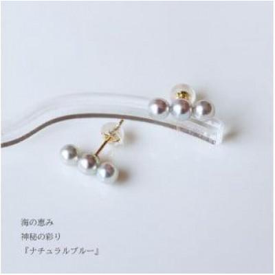 ふるさと納税 志摩市 志摩産アコヤ真珠 4-5ミリ 天然色 ナチュラルブルー 数粒ラインピアス(K18YG) |  | 01