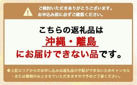 【セット】Pt950 IDタグオーダー コプラ細ネックレス 60cm/Pt850アジャスターチェーンシースルー 10cm ※沖縄・離島への配送不可