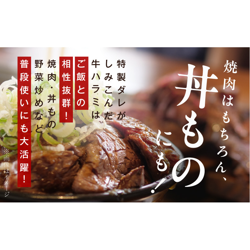 牛ハラミ 暴れ盛り 総量 1.15kg 小分け 牛肉 肉コンシェルジュ厳選 期間限定 099H2839_イメージ5