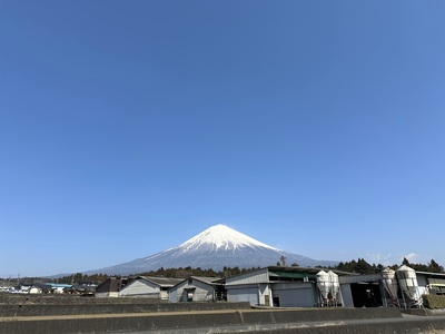 0010-110-01 富士山竹川牛 サーロインステーキ 165g×1枚