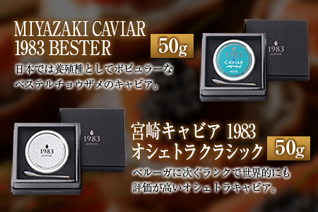 ◇宮崎キャビア1983 & 1983 J.CAVIAR 50g×4種食べ比べセット