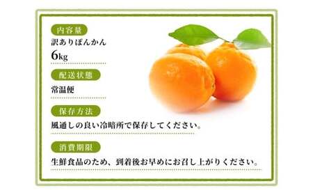【訳あり】手選別 ぽんかん 約6kg 和歌山県産 2S~2Lサイズ混合※2026年1月上旬～2月上旬頃に順次発送【mrmt014】