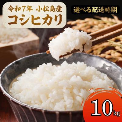 ふるさと納税 小松島市 【配送時期が選べる】米 コシヒカリ 10kg 小松島市 令和7年産 精米 白米