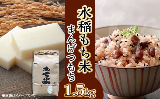 605 【令和7年産】水稲もち 1升 1.5kg