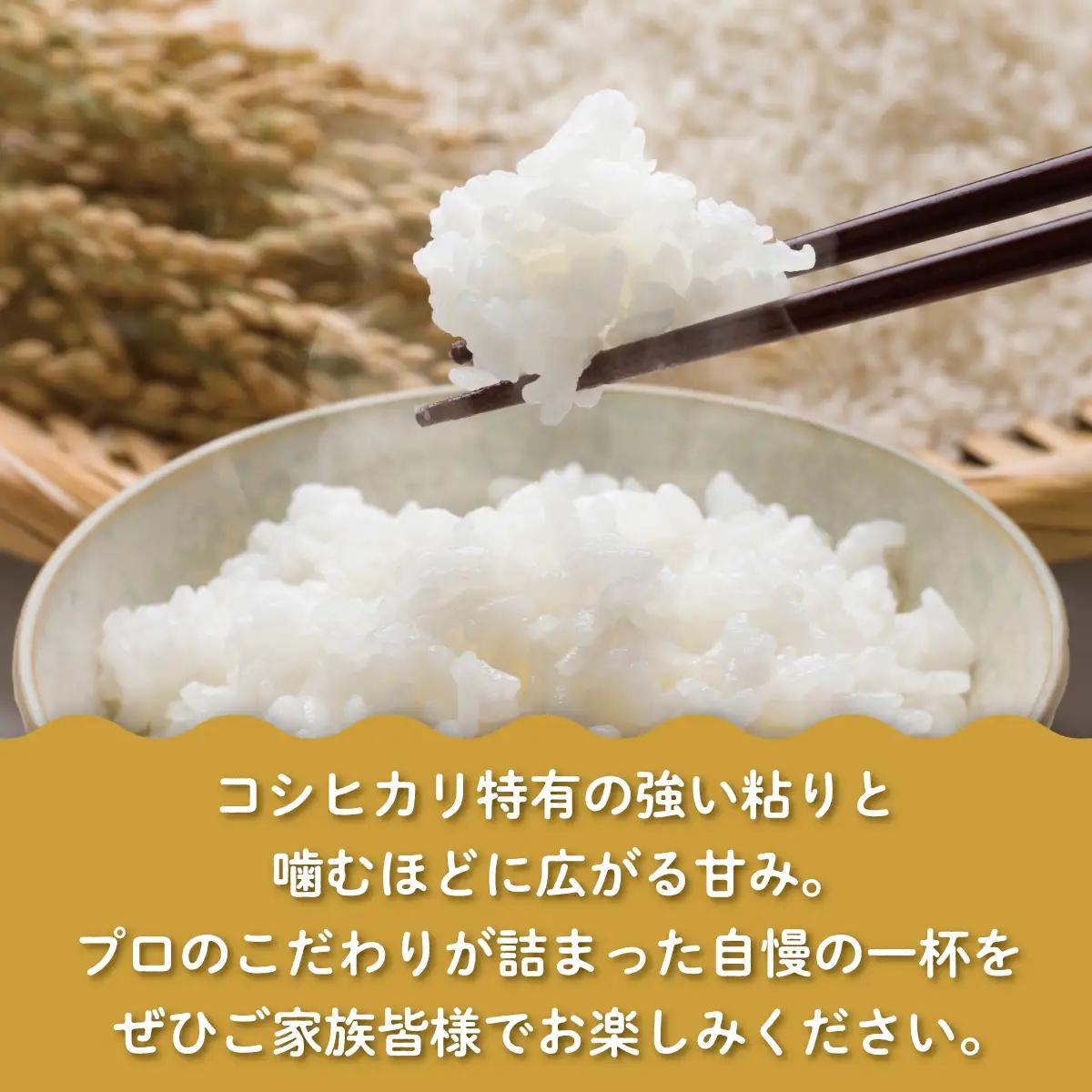 【令和7年産】【福島会津産】雪の恵み米こしひかり5kg×1回 KBAJ005
