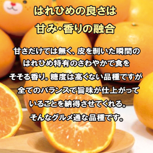 訳あり 家庭用 はれひめ S~3L玉 約5㎏ ( 訳あり はれひめ みかん 柑橘 松山 愛媛県 )【VEG006】