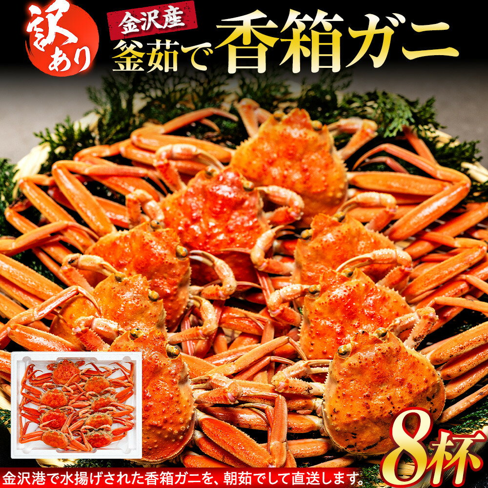 【ふるさと納税】【訳あり】 金沢港より直送！ ボイル 香箱ガニ 8杯セット 釜茹で 冷蔵 先行予約 2026年発送 | わけあり 年内発送 蟹 かに セイコガニ 香箱かに ズワイガニ がに リピート ボイル 香箱 ガニ 蟹 金沢 海鮮 冬季限定