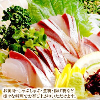 ふるさと納税 延岡市 【大和ブリ】半身(フィレ)約1kg×2枚　かぶと付き |  | 02