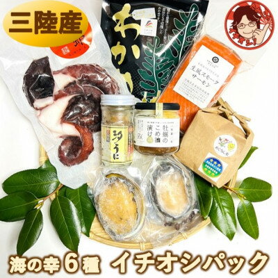 【ふるさと納税】厳選!宮城県南三陸発、豪華・海の幸6種のイチオシパック&ひとめぼれ精米2合のセット【配送不可地域：離島】【1593037】
