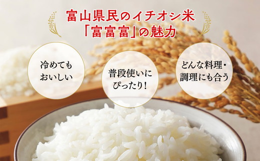 【令和7年度米】【6ヶ月定期便】富山県産米「富富富」15kg（5kg×3袋）（精米）｜6ヶ月定期便 6回 6ヶ月 富富富 ふふふ こめ コメ お米 おこめ 白米 精米 ブランド米 雪解け水 冷めても 