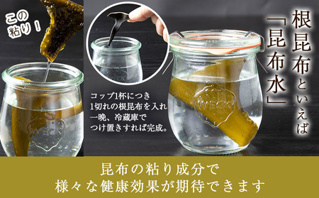 利尻島産 根昆布 6袋セット＜利尻漁業協同組合＞