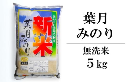 【先行予約・8月下旬～発送】葉月みのり 無洗米 5kg 中村農研 令和8年産新米 極早生 新潟米[Y0545]