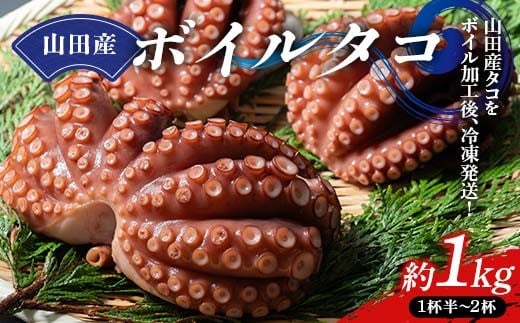 川石水産の山田産ボイルタコ 1kg 三陸山田 山田町 海産品 山田湾 蛸 刺身 タコ飯 YD-876
