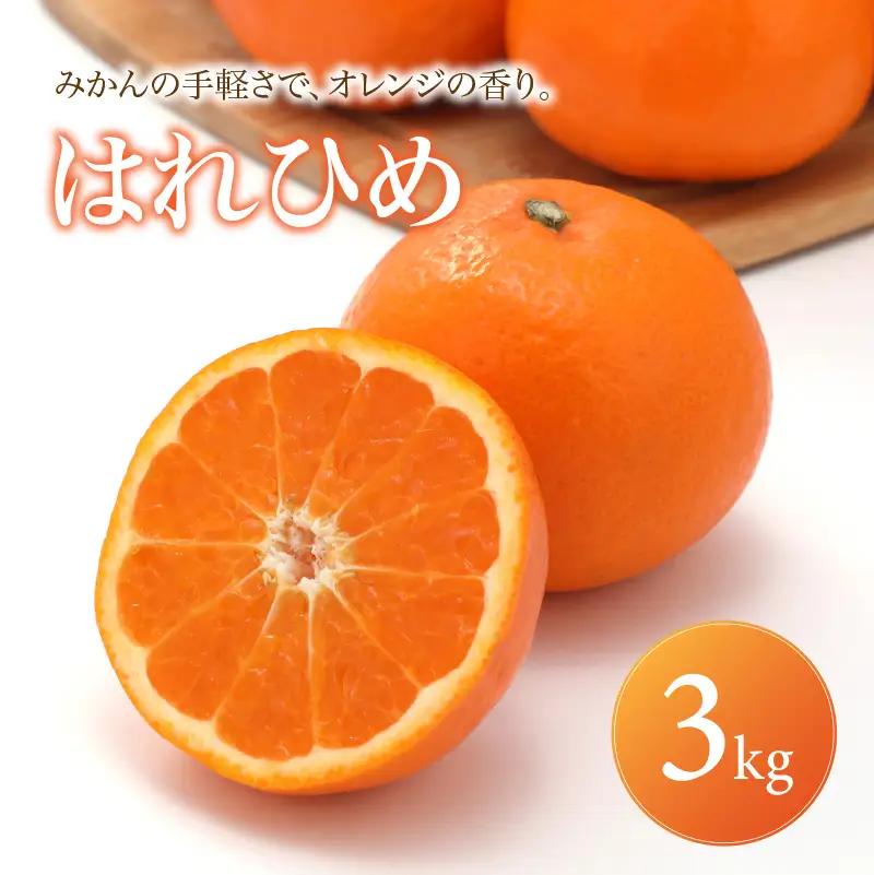 はれひめ 家庭用 3kg 【2027年1月上旬頃から順次発送】 | みかん ミカン mikan 蜜柑 訳ありフルーツ 柑橘 果物 おすすめ お勧め お取り寄せ ギフト 愛媛県 松山市 【MKN034】