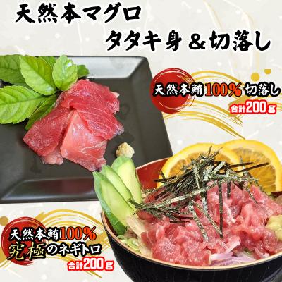 ふるさと納税 室戸市 天然本マグロ タタキ身(ネギトロ)と 切り落とし セット 【合計400g】