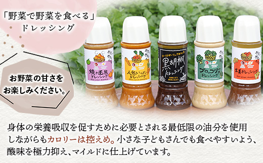 野菜で野菜を食べる ドレッシング 5本 Jセット ＜ニンジン/ブロッコリー/生姜2本/黒胡椒＞ サラダ や 肉料理 にも 詰め合わせ 熊本県 多良木町 調味料 家庭用 ギフト 024-0680