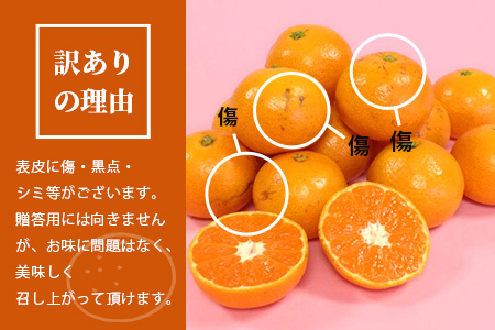 2回定期【訳あり】”やーらしか”鹿島産みかん 約6.5kg ×2回 【配送期日指定不可】佐賀県 鹿島市産 温州ミカン 旨み凝縮 小粒みかんB-714