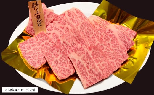 博多和牛 特上カルビ 約500g（約250g×2パック）