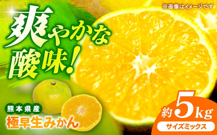 
                  【先行予約】 極早生みかん 2S-2L 約5kg みかん 蜜柑 柑橘 フルーツ 果物 【日本フルーツ株式会社】  1万円以下 10000円以下 [ZFJ054]
                