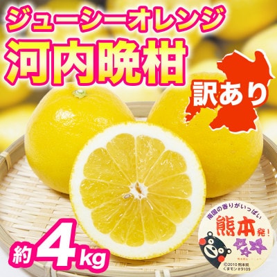 【先行予約】宇城市産 訳あり 河内晩柑 (ジューシーオレンジ) みかん 約4kg(宇城市)【1713484】