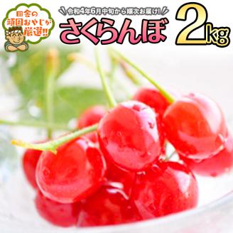 さくらんぼ2kg【令和4年6月中旬から順次お届け】田舎の頑固おやじが厳選！