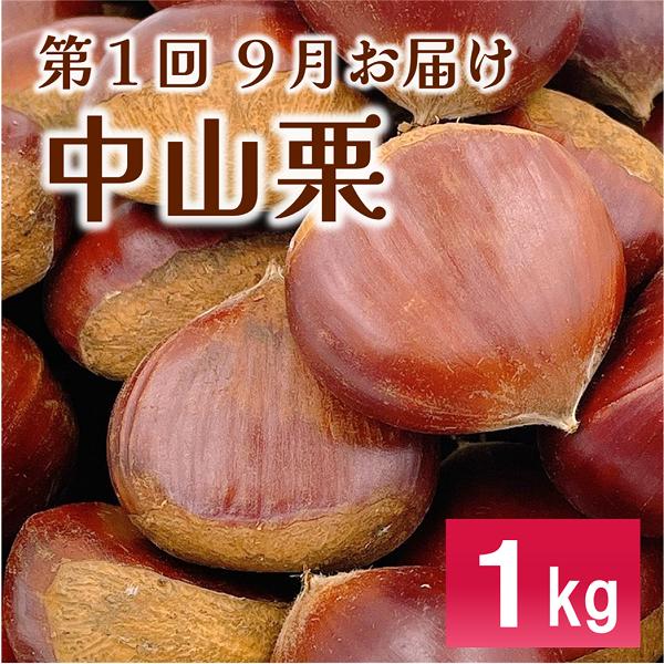 伊予市 特産定期便 全3回 中山栗・紅まどんな・伊予柑｜D48