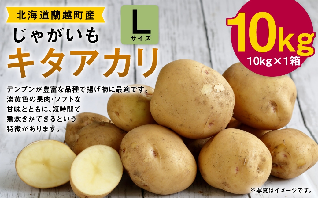 
                  じゃがいも （ キタアカリ ） Lサイズ 約10kg × 1箱 約10kg （ JA ） ジャガイモ ポテト いも イモ 芋 野菜 やさい 揚げ物 フライ デンプン 煮物 国産 北海道産 【 2026年9月下旬～12月下旬迄発送予定 】
                